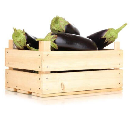 Eggplant box 5kg