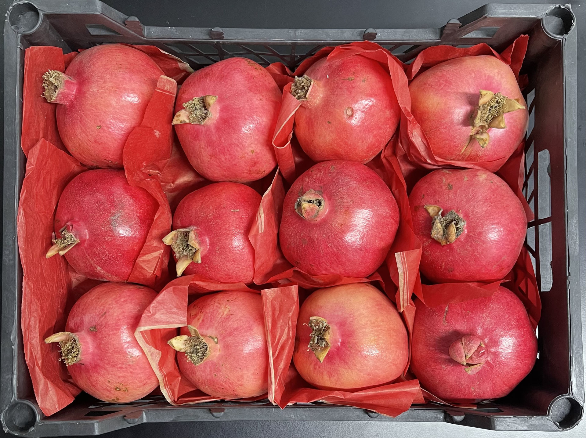 0007003_pomegranate-egypt-box-35kg