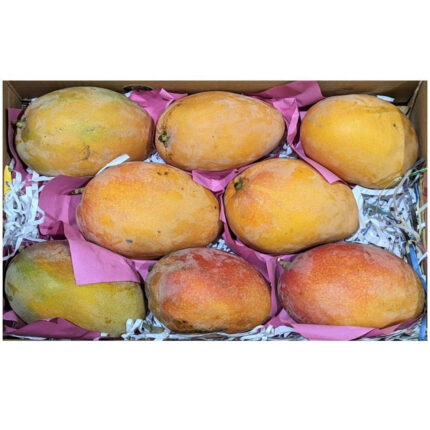 Mango Egypt