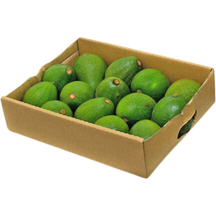 Avocado Fuerte 4kg Box
