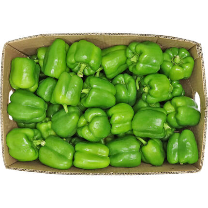 Capsicum Green box