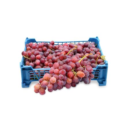 Grapes Red Globe