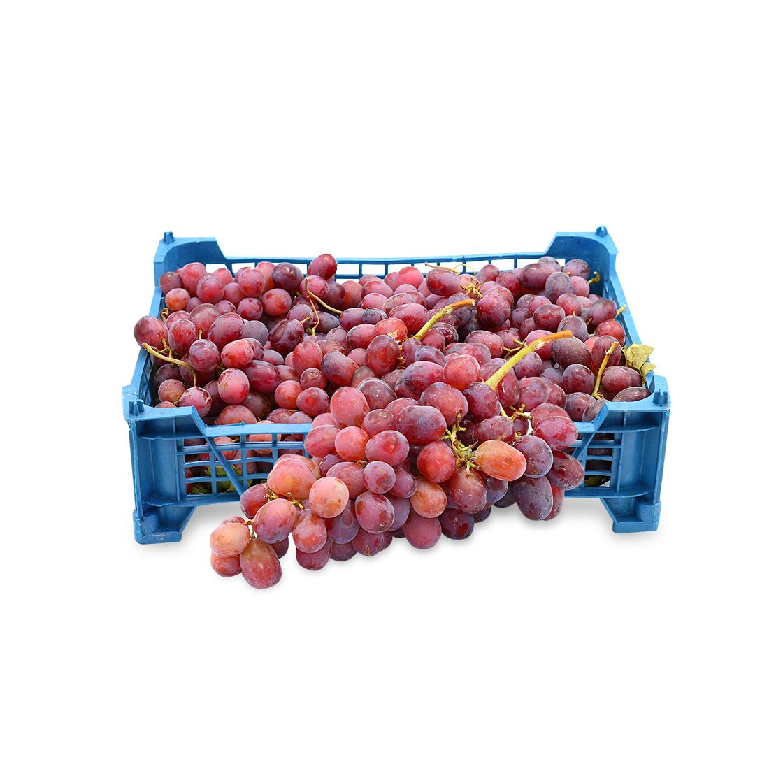 grapes_red_globe_iran-box_approx_4kg_