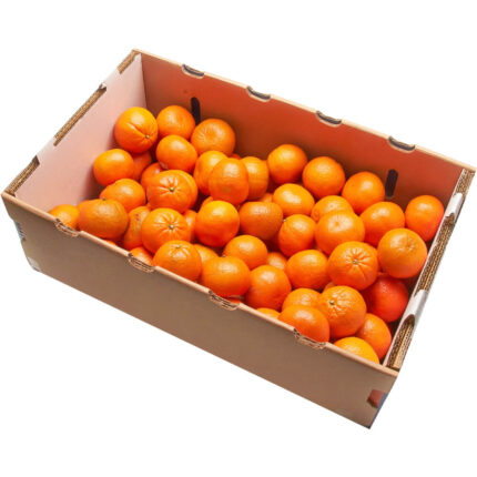Mandarin 5kg Box
